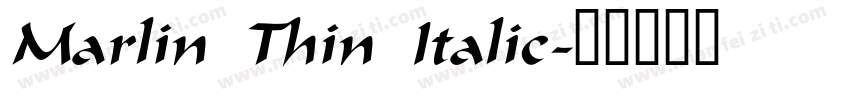 Marlin Thin Italic字体转换